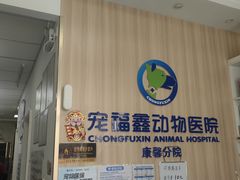 -宠福鑫康馨动物医院·骨科·眼科