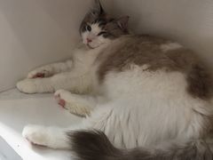 -白夜2D咖啡馆