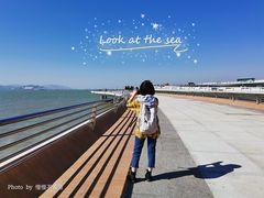 -演武大桥观景平台