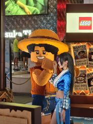 -乐高品牌旗舰店(人民广场店)