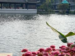-荔湾湖公园