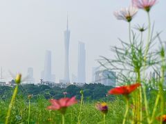 -海珠湖公园