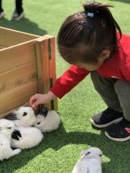 -萌宠亲子动物乐园(槐房万达店)