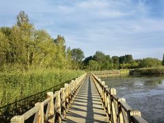 -野鸭湖国家湿地公园