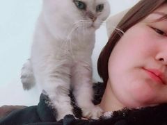 -瑞派福兴宠物医院犬猫全科·骨科·中西医结合(河东店)