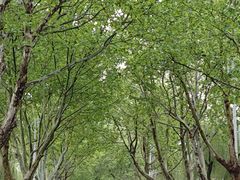 -云龙湖旅游景区