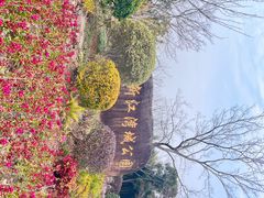 -新江湾城公园
