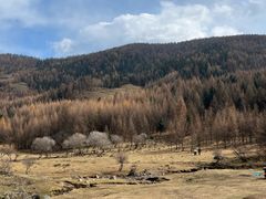 -芦芽山旅游度假区