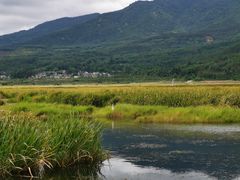 -腾冲北海湿地