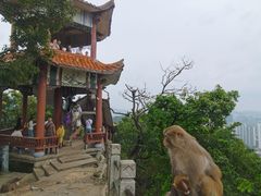 -黔灵山公园