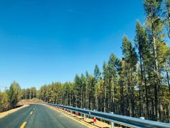 -塞罕坝国家级自然保护区