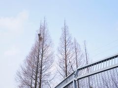-上方山森林动物世界