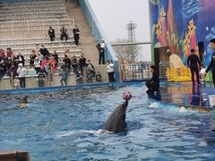 -北戴河圣蓝海洋公园