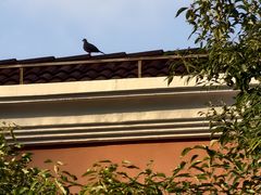 -上海商业会计学校(迎勋路)