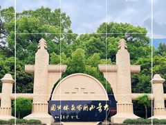 -大奇山国家森林公园