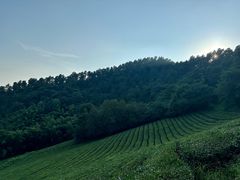 -敬亭山风景名胜区