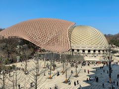 -牛首山文化旅游区