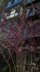 -养月堂中医养生月子会所(中心妇产店)