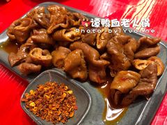-谭鸭血老火锅(漳州路店)
