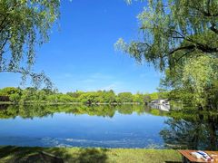 -上海共青森林公园