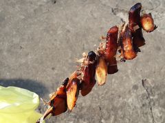 -龙头岩(Dragon Head Rock)