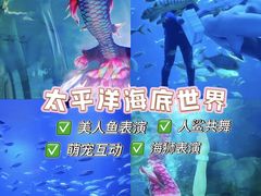 -太平洋海底世界