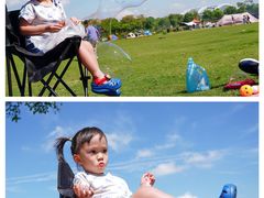 -春花秋色城市公园