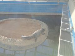 -太原动物园
