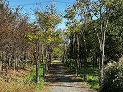 -嘉北郊野公园