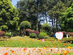 -铁山坪森林公园