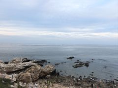 -养马岛旅游度假区