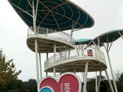 -铁山坪森林公园