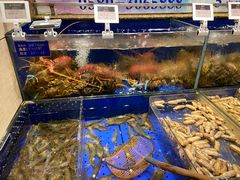 水产区-高佳庄·舟山海鲜(海景旗舰店)