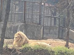 -石家庄市动物园