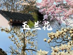 -留园