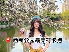 -西苑公园