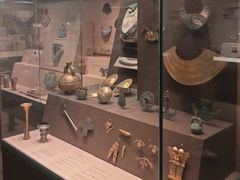 -美国自然历史博物馆