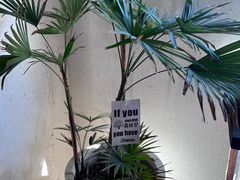 -铁炉咖啡(河下古镇店)