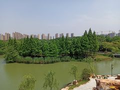 -都喜天丽富都青枫苑酒店-青枫小筑