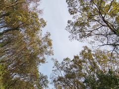 -南京市江宁方山