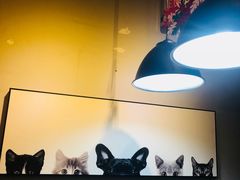 -吃饼人西餐(南开店)