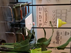android_upload_pic-白兔糖咖啡