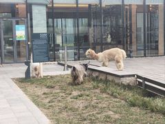 -廊坊固安福朋喜来登酒店