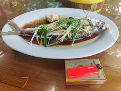 -百里鲜(羚羊峡古栈道森林公园店)