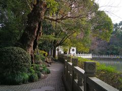 -汇龙潭