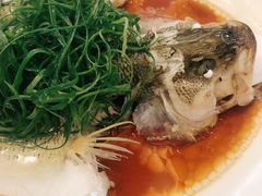清蒸鲈鱼-五谷芳乳鸽王（大梅沙总店C区）(网红打卡店)