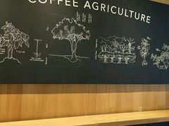 -星巴克(福州长乐机场分店)