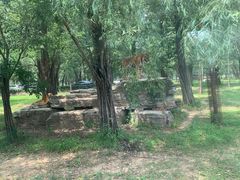 -秦皇岛野生动物园