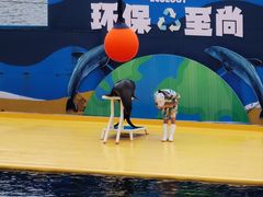 -秦皇岛乐岛海洋王国