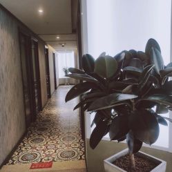 点击看大图 -PE SALON